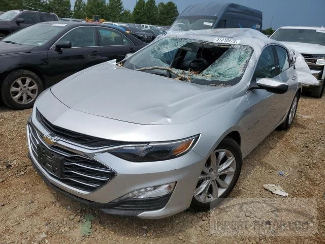 CHEVROLET MALIBU 2019 1g1zd5st7kf220115