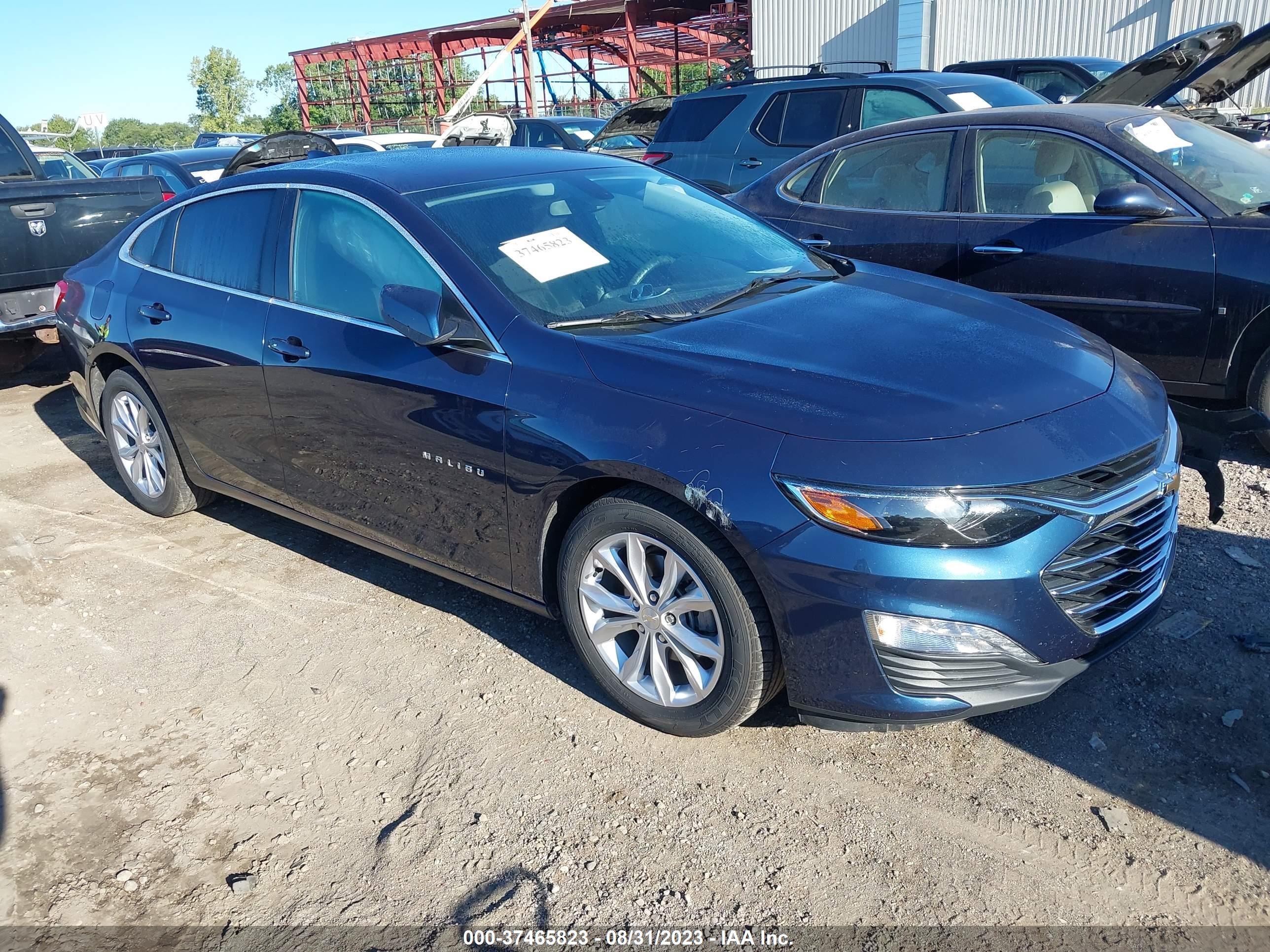 CHEVROLET MALIBU 2019 1g1zd5st7kf223130