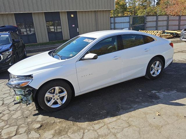 CHEVROLET MALIBU LT 2023 1g1zd5st7pf249945