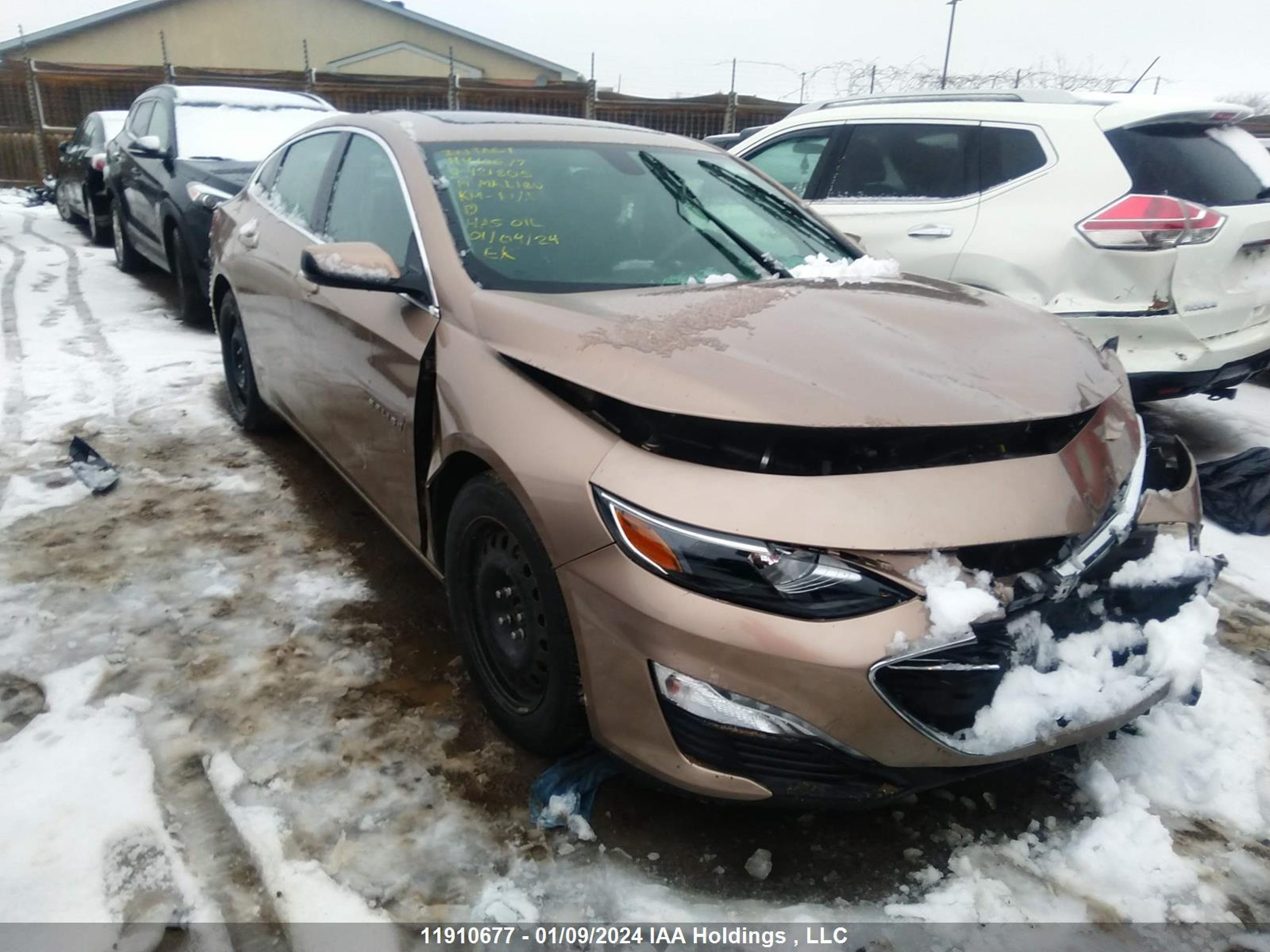 CHEVROLET MALIBU 2019 1g1zd5st8kf121805