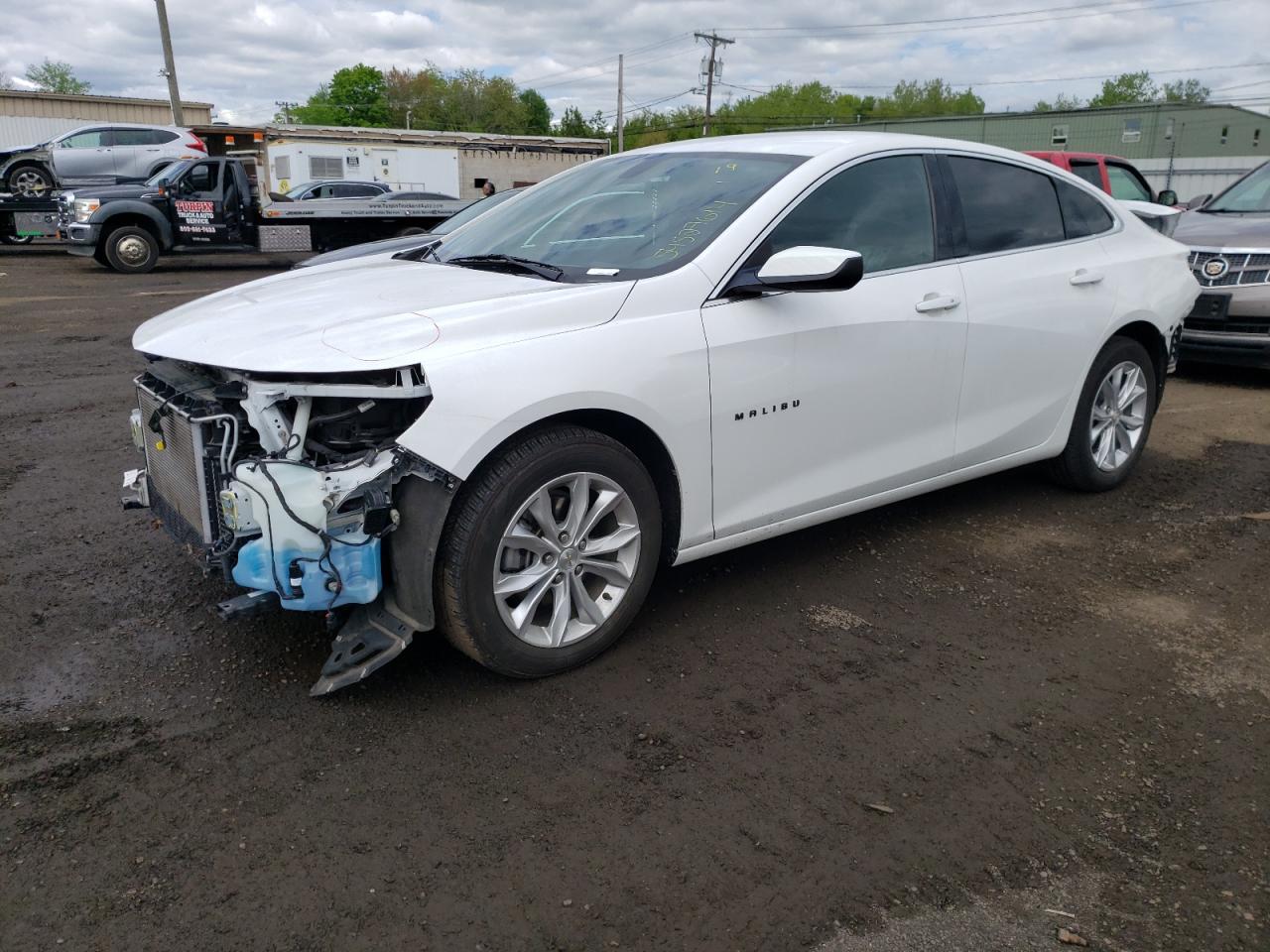 CHEVROLET MALIBU 2019 1g1zd5st8kf147000