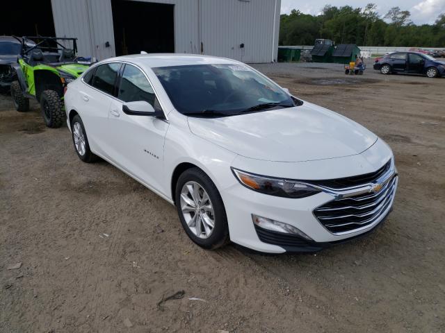 CHEVROLET MALIBU LT 2019 1g1zd5st8kf163343