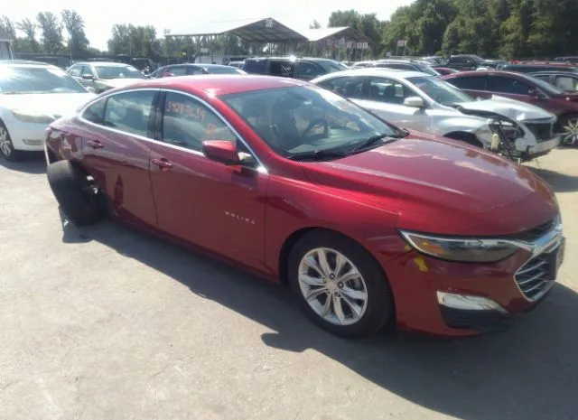 CHEVROLET MALIBU 2019 1g1zd5st8kf204392