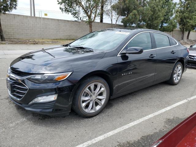 CHEVROLET MALIBU 2019 1g1zd5st9kf153534