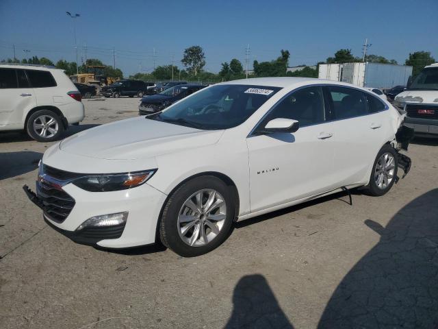 CHEVROLET MALIBU 2019 1g1zd5st9kf168020