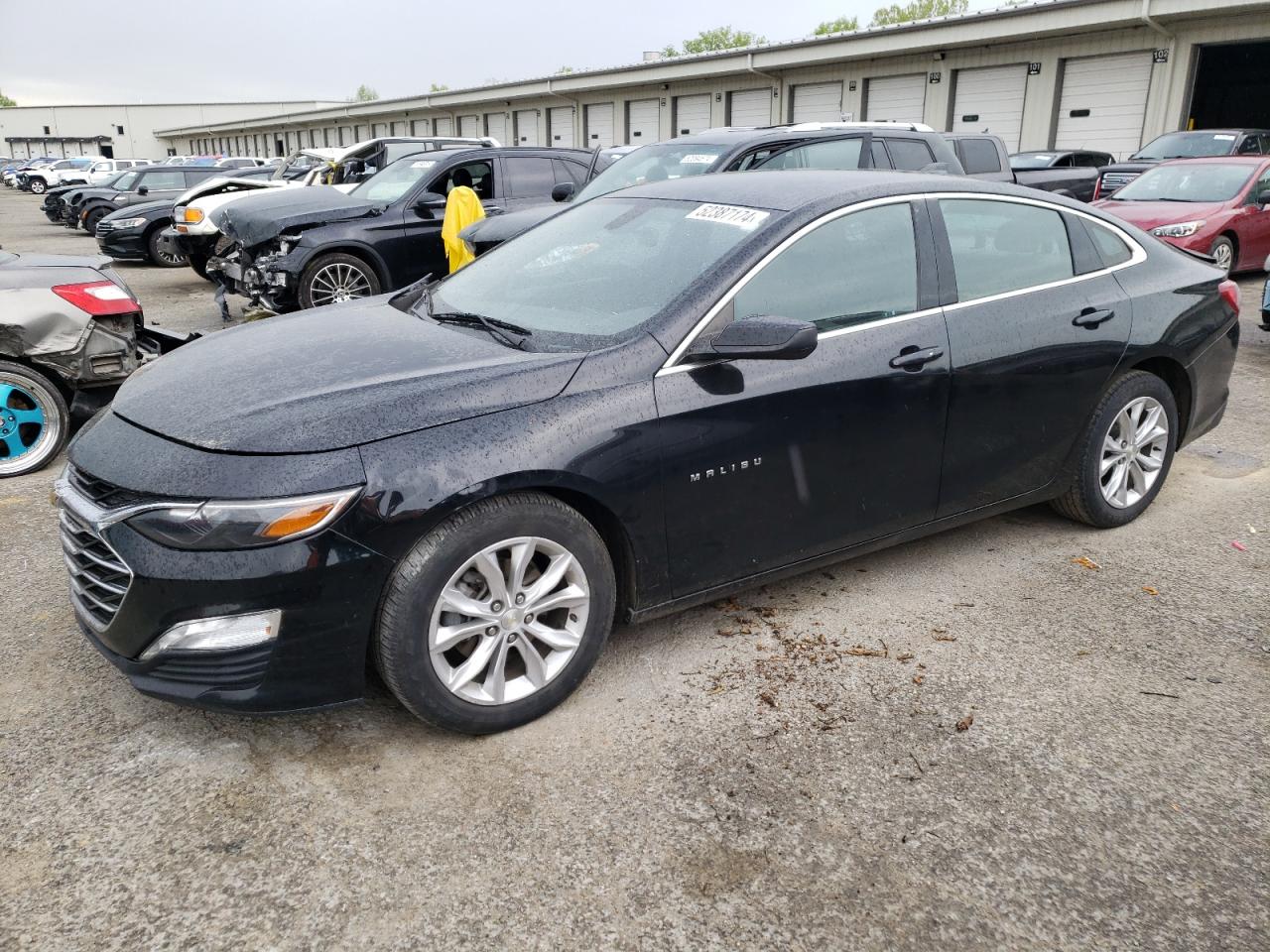 CHEVROLET MALIBU 2019 1g1zd5st9kf190325