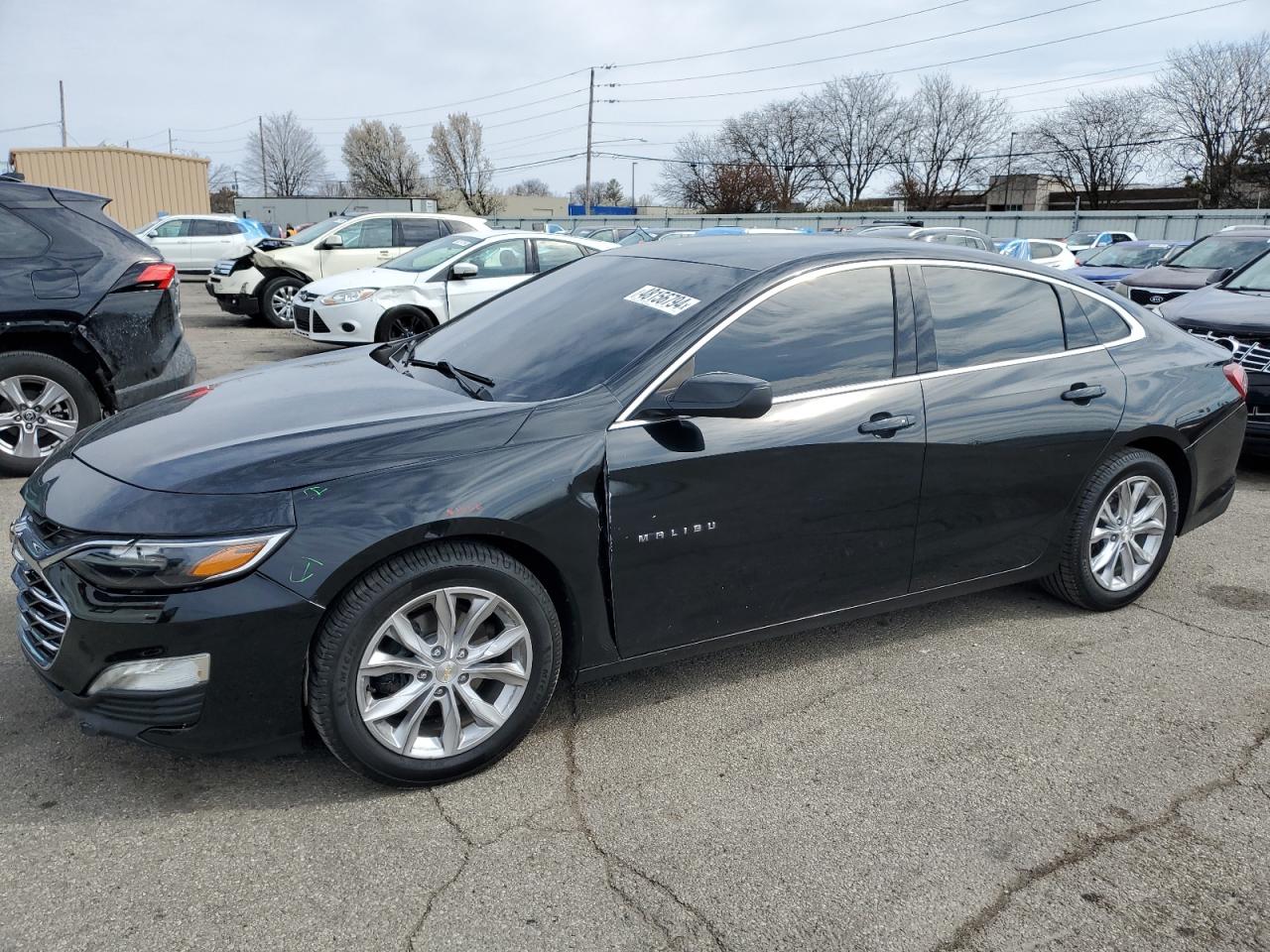 CHEVROLET MALIBU 2019 1g1zd5stxkf143501