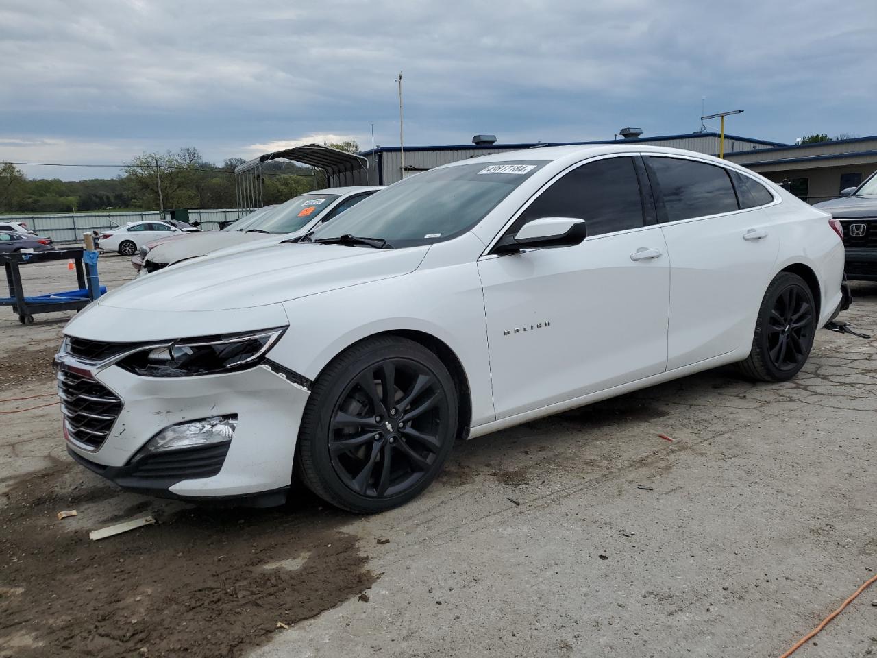 CHEVROLET MALIBU 2019 1g1zd5stxkf150528