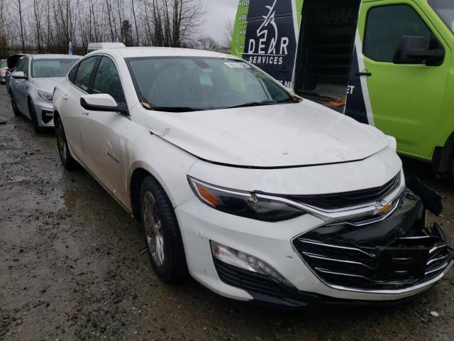 CHEVROLET MALIBU LT 2019 1g1zd5stxkf159665