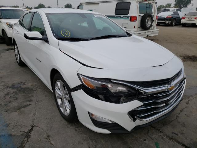 CHEVROLET MALIBU LT 2019 1g1zd5stxkf162131