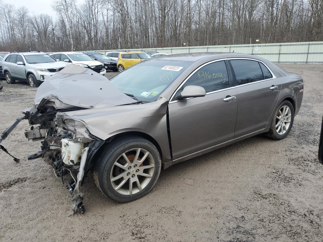 CHEVROLET MALIBU 2011 1g1ze5e12bf369877