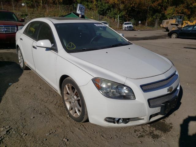 CHEVROLET MALIBU LTZ 2010 1g1ze5e73a4131373