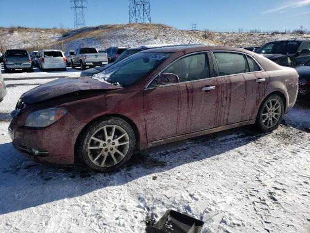 CHEVROLET MALIBU 2011 1g1ze5e79bf203831