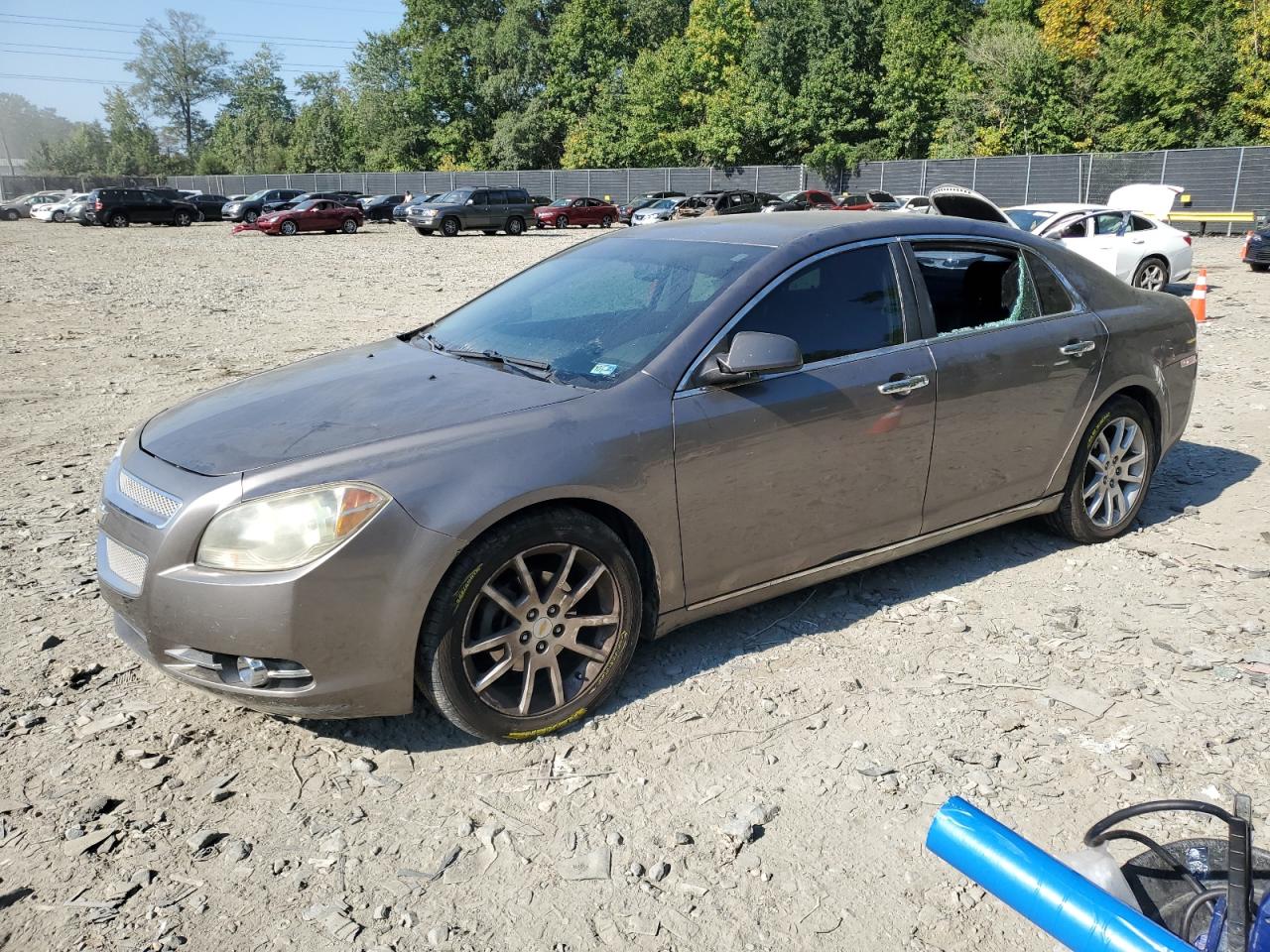 CHEVROLET MALIBU 2010 1g1ze5eb9af141589