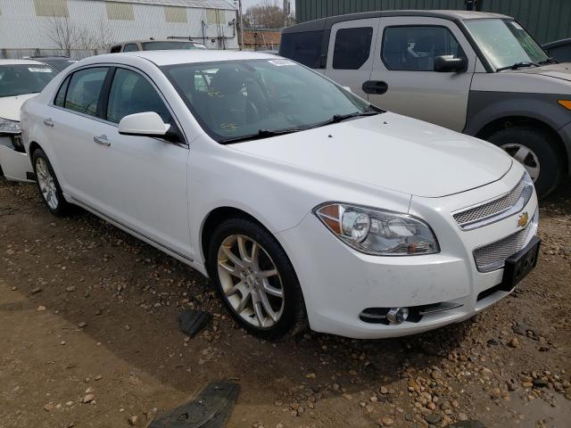 CHEVROLET MALIBU 2011 1g1ze5eu1bf350652