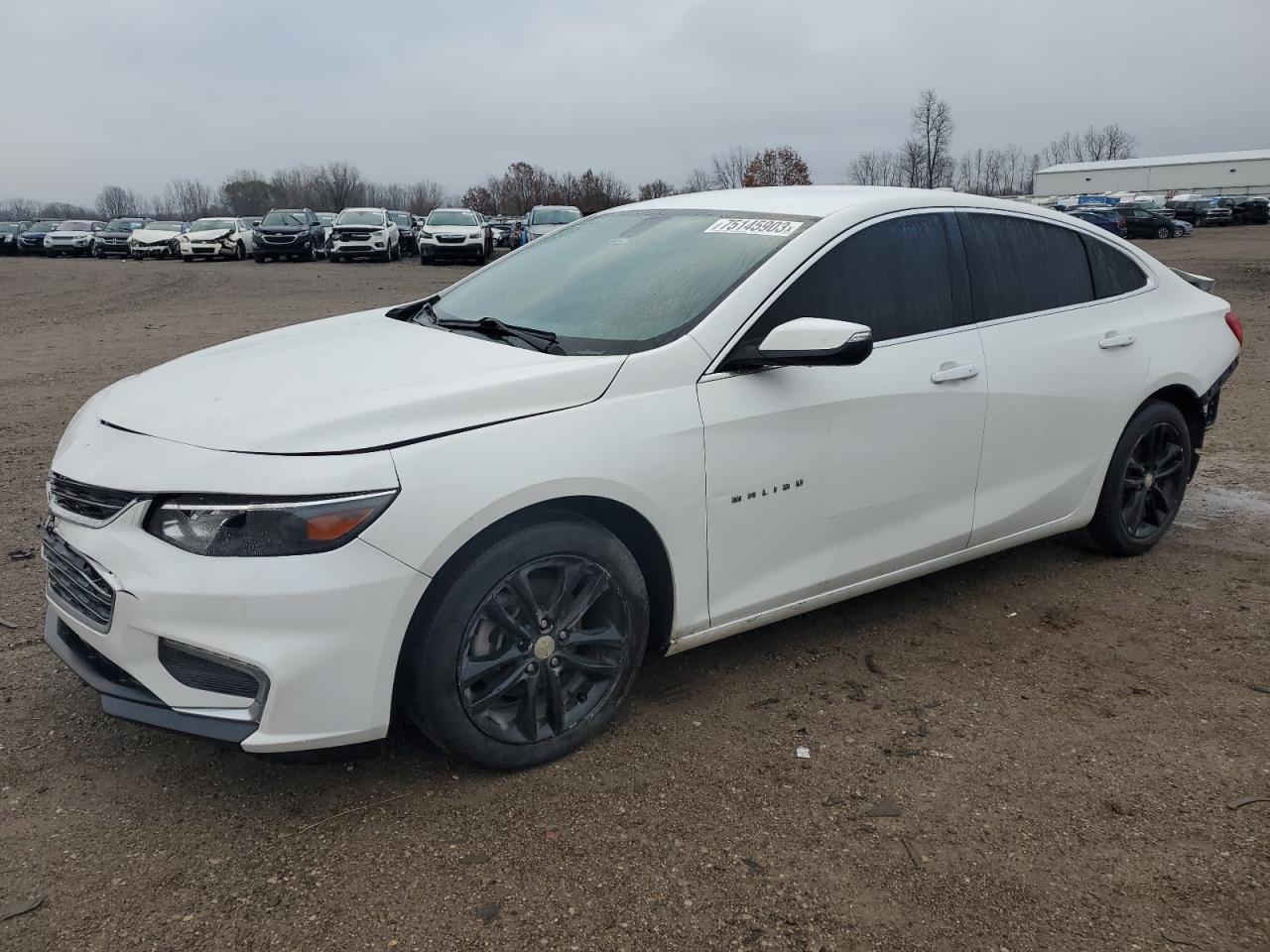 CHEVROLET MALIBU 2017 1g1ze5st7hf246381