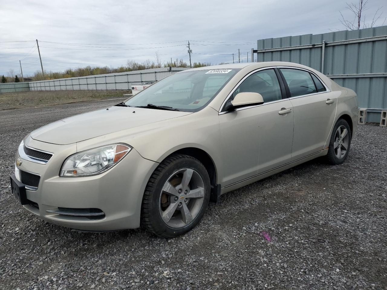 CHEVROLET MALIBU 2009 1g1zf57579f219335