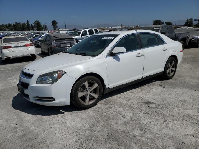 CHEVROLET MALIBU HYB 2009 1g1zf57599f105305