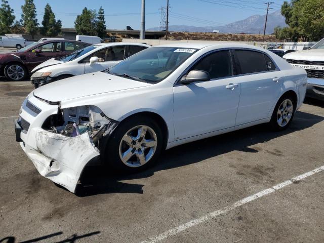 CHEVROLET MALIBU LS 2009 1g1zg57b094225637