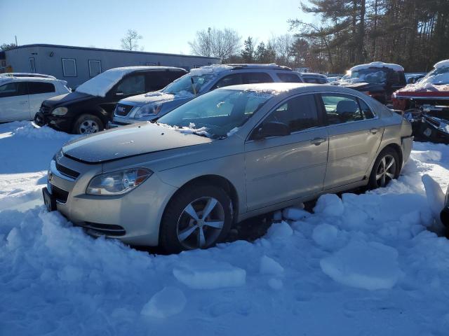 CHEVROLET MALIBU LS 2009 1g1zg57b09f113358