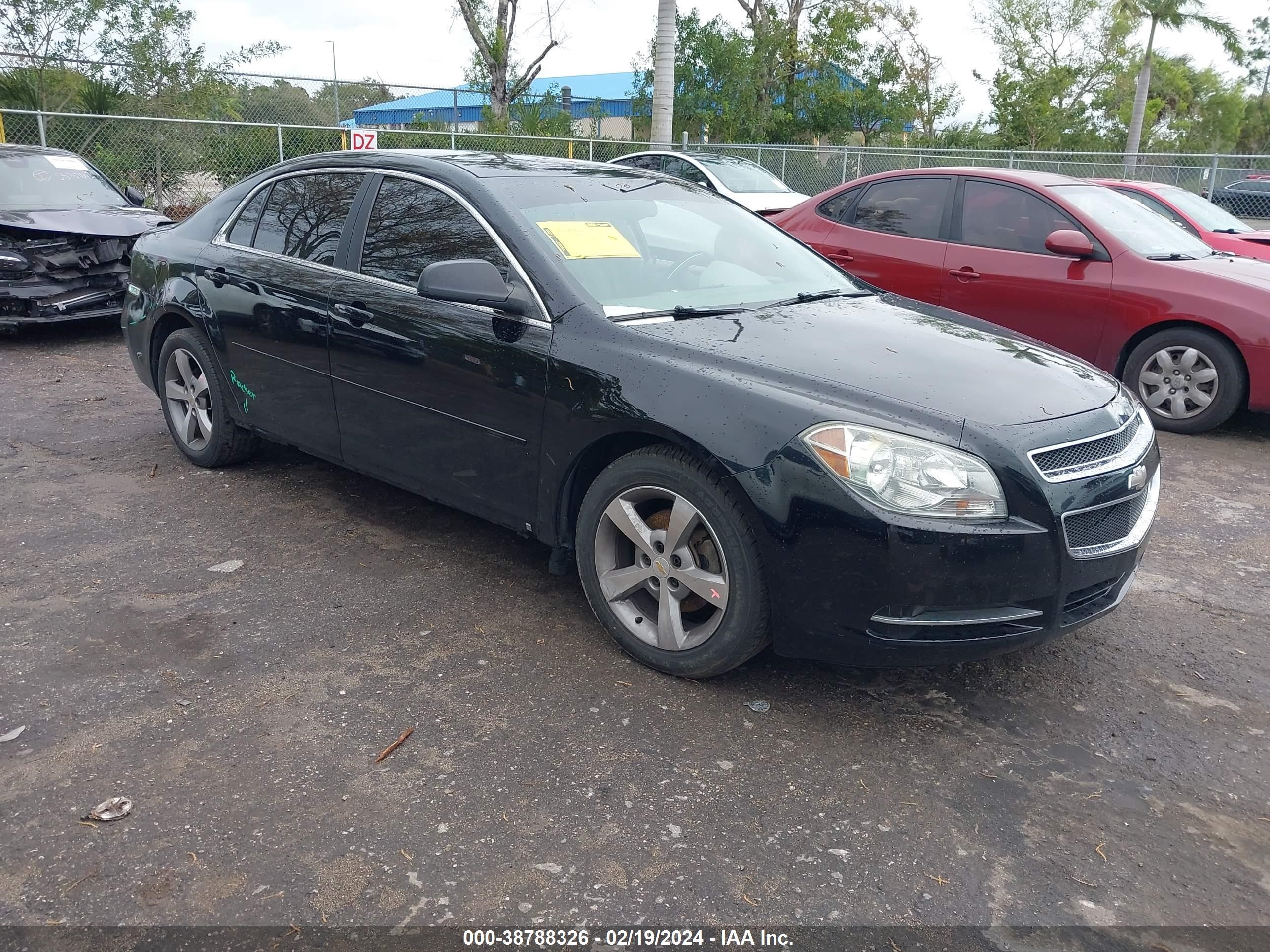 CHEVROLET MALIBU 2009 1g1zg57b09f200984