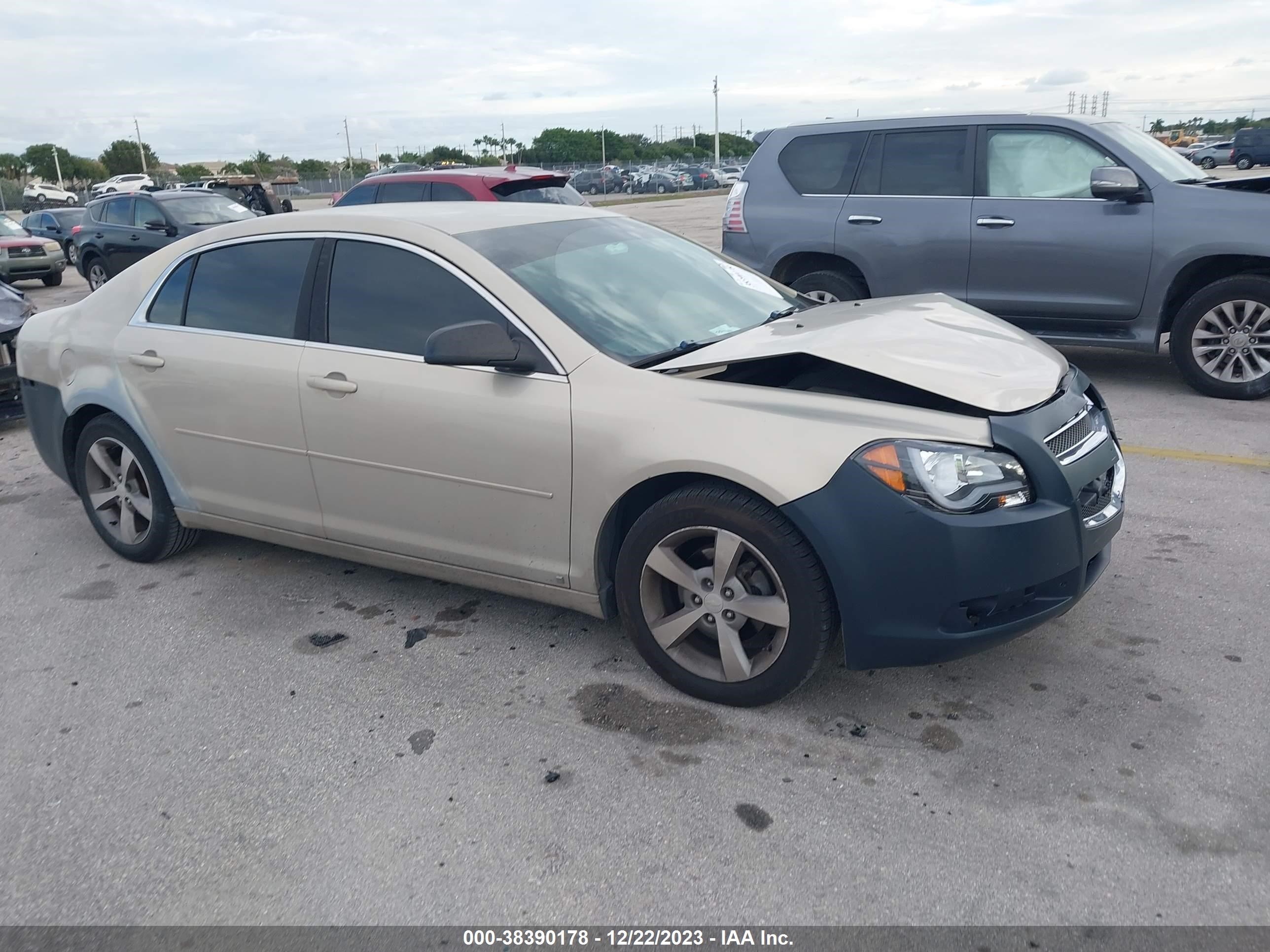 CHEVROLET MALIBU 2009 1g1zg57b49f212278