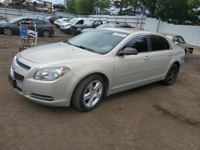 CHEVROLET MALIBU 2009 1g1zg57b69f136093