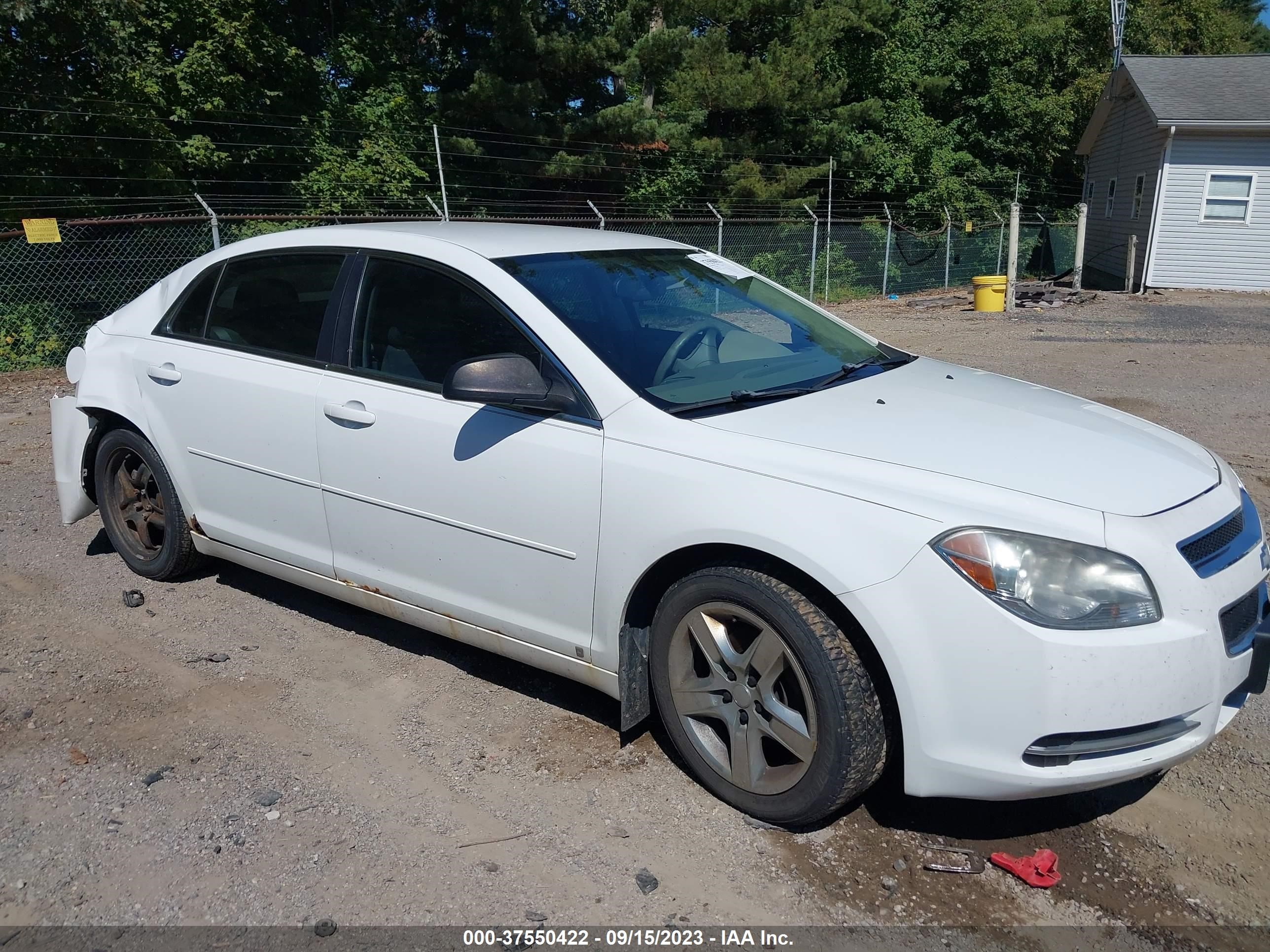 CHEVROLET MALIBU 2009 1g1zg57b69f144646