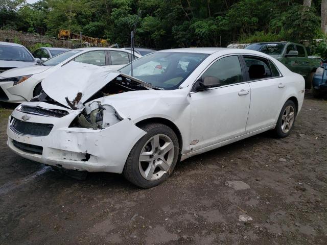 CHEVROLET MALIBU 2009 1g1zg57b69f181678