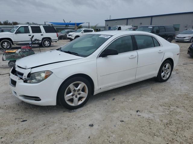 CHEVROLET MALIBU 2009 1g1zg57b894231816