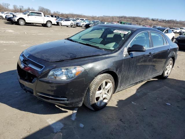 CHEVROLET MALIBU 2009 1g1zg57bx9f256463