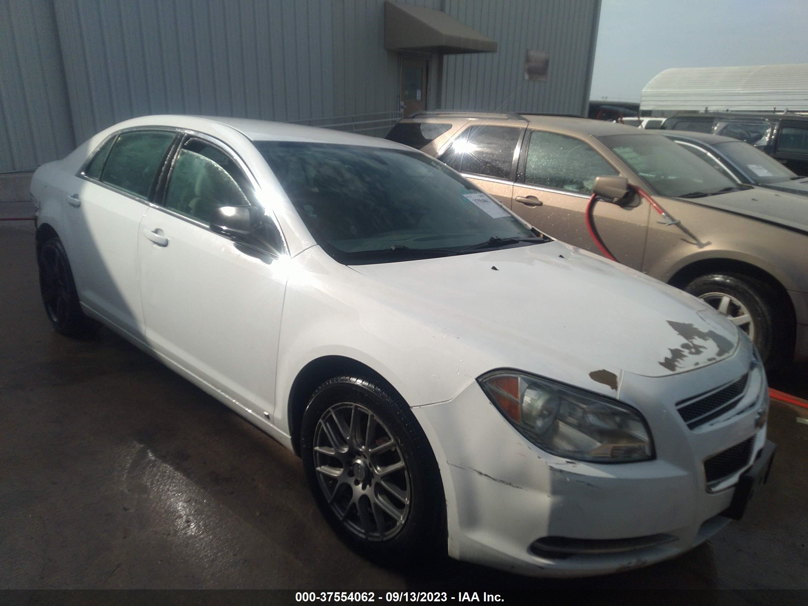 CHEVROLET MALIBU 2009 1g1zg57k494267714