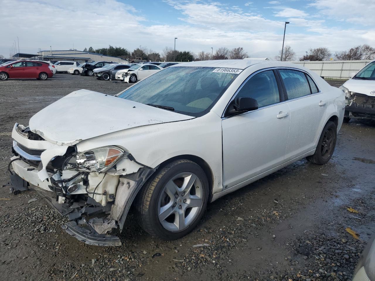 CHEVROLET MALIBU 2009 1g1zg57k794269652