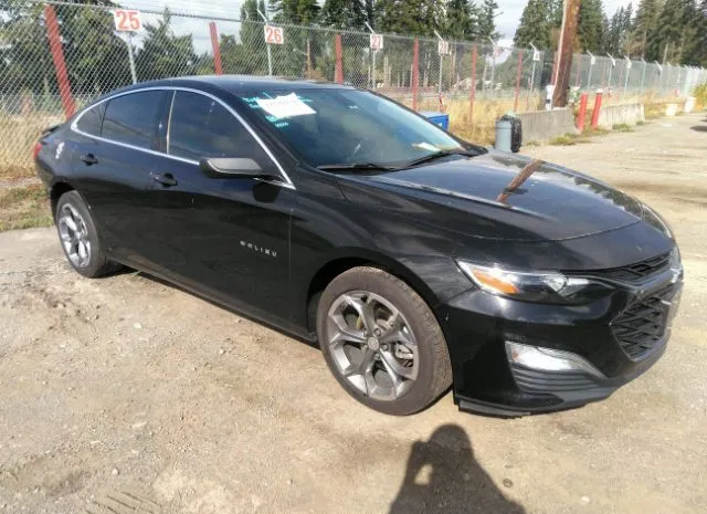 CHEVROLET MALIBU 2019 1g1zg5st6kf171674