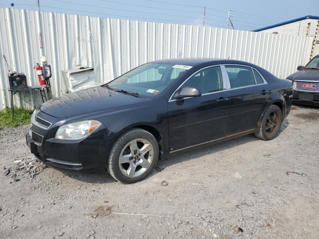 CHEVROLET MALIBU 1LT 2009 1g1zh57b19f141442