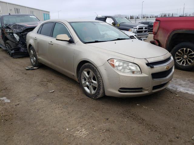 CHEVROLET MALIBU 1LT 2009 1g1zh57b19f194223