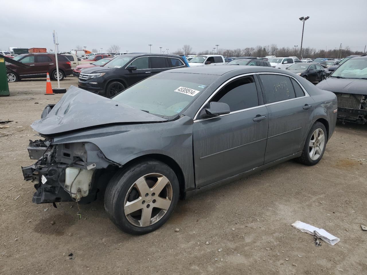 CHEVROLET MALIBU 2009 1g1zh57b29f244529