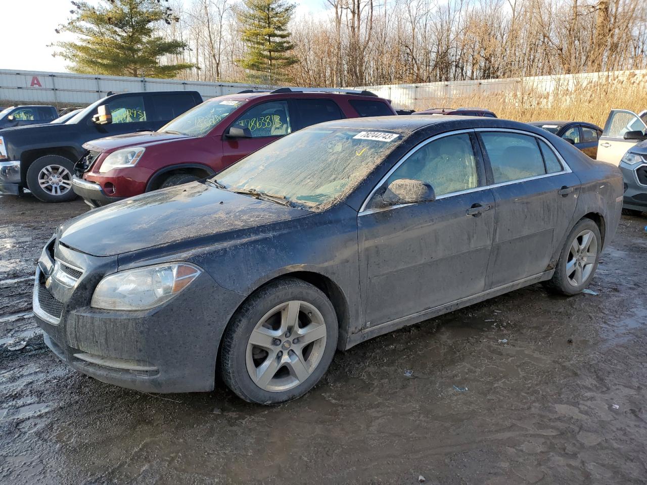 CHEVROLET MALIBU 2009 1g1zh57b694167028