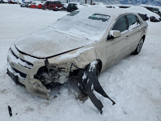 CHEVROLET MALIBU 2009 1g1zh57b69f109814