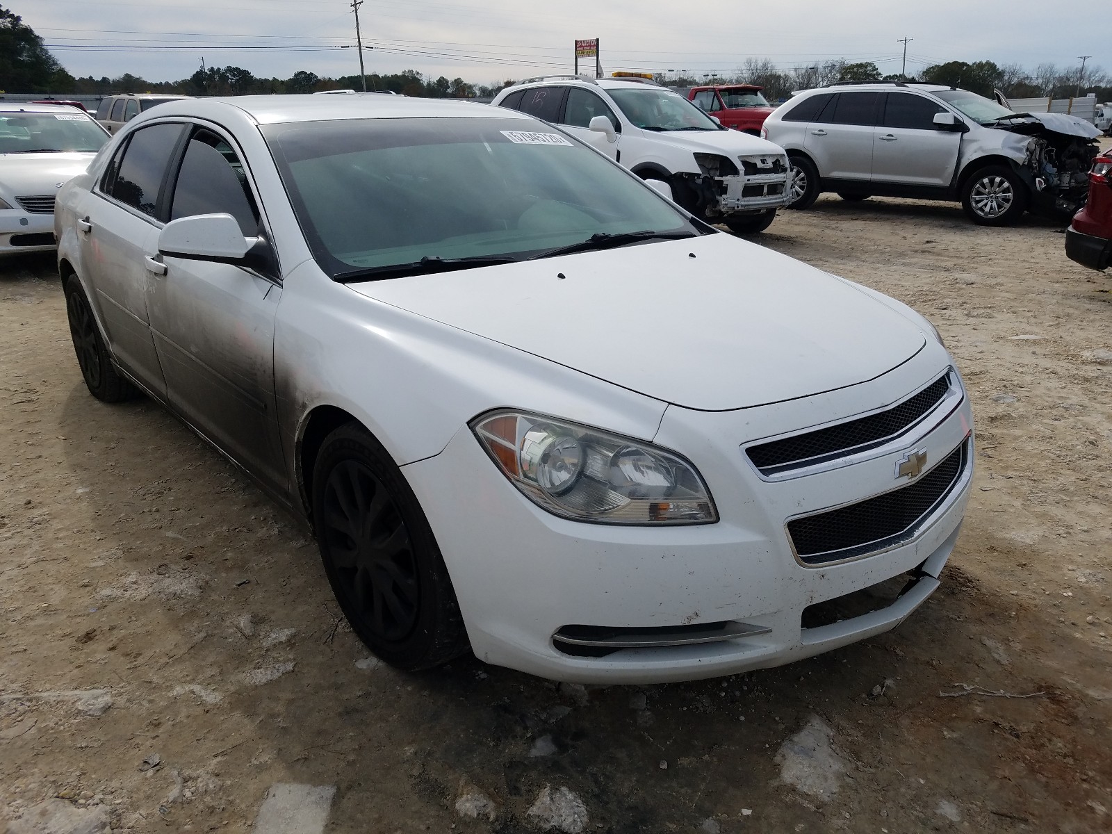 CHEVROLET MALIBU 1LT 2009 1g1zh57b69f146510