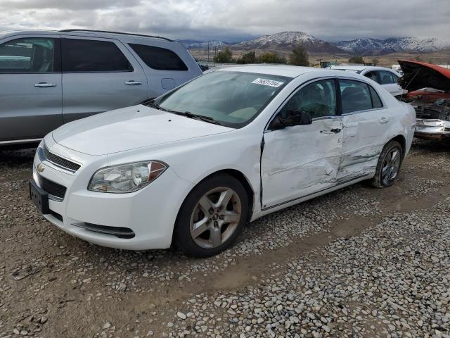 CHEVROLET MALIBU 1LT 2009 1g1zh57bx9f111162