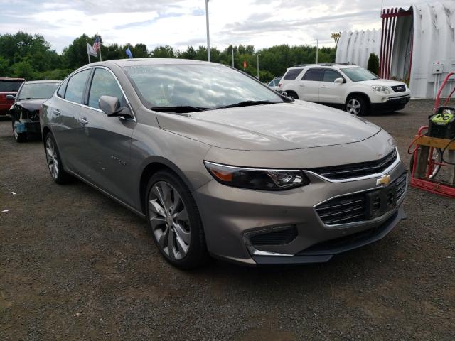 CHEVROLET MALIBU PRE 2017 1g1zh5sx7hf174558