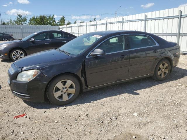 CHEVROLET MALIBU 2009 1g1zj577694182869