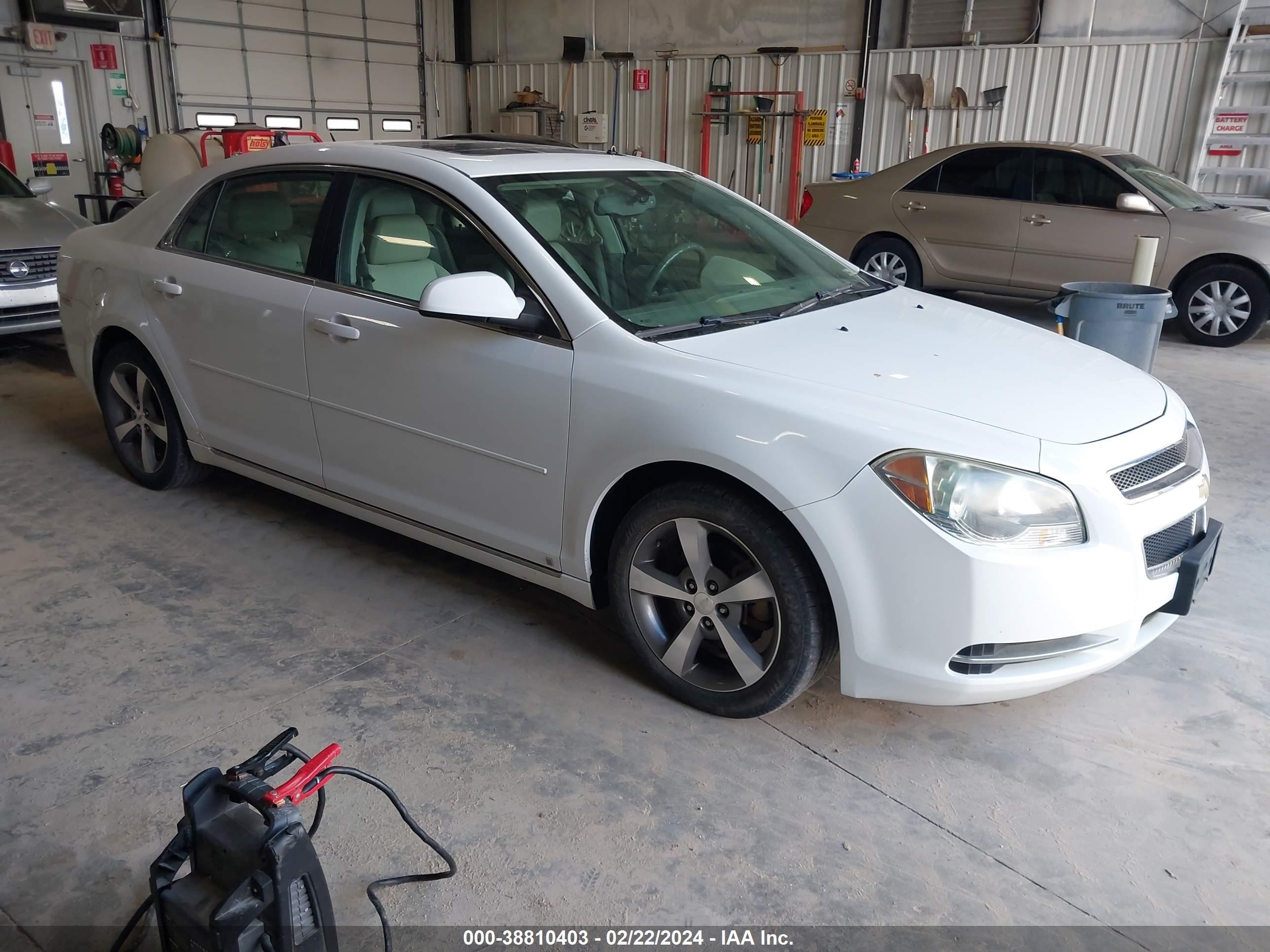 CHEVROLET MALIBU 2009 1g1zj57b09f104984