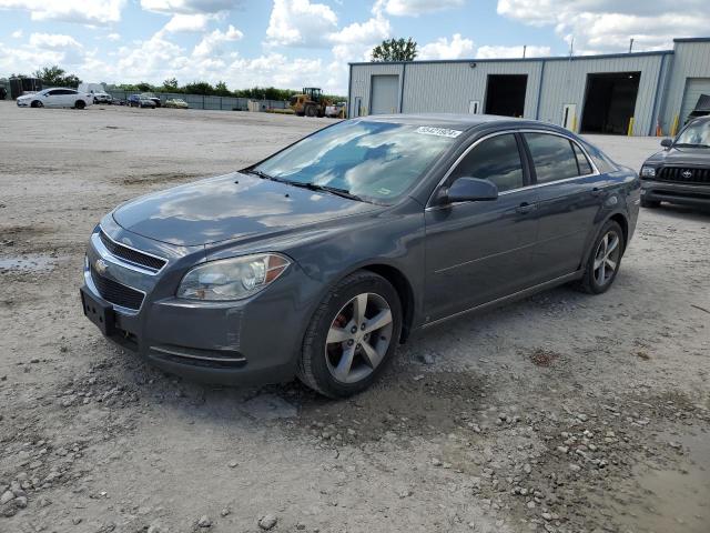 CHEVROLET MALIBU 2009 1g1zj57b09f121199