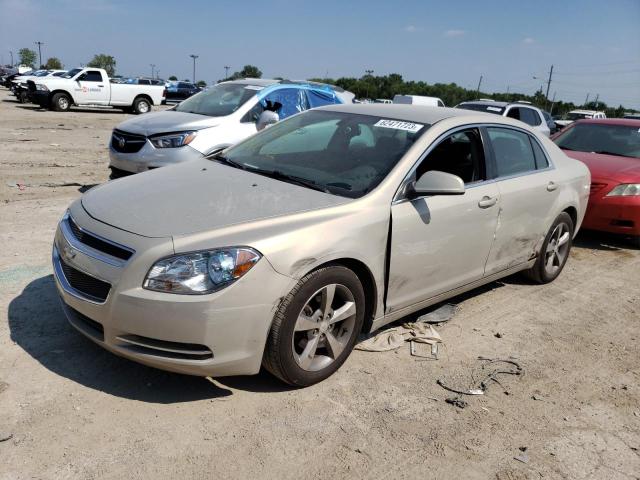 CHEVROLET MALIBU 2LT 2009 1g1zj57b294160453