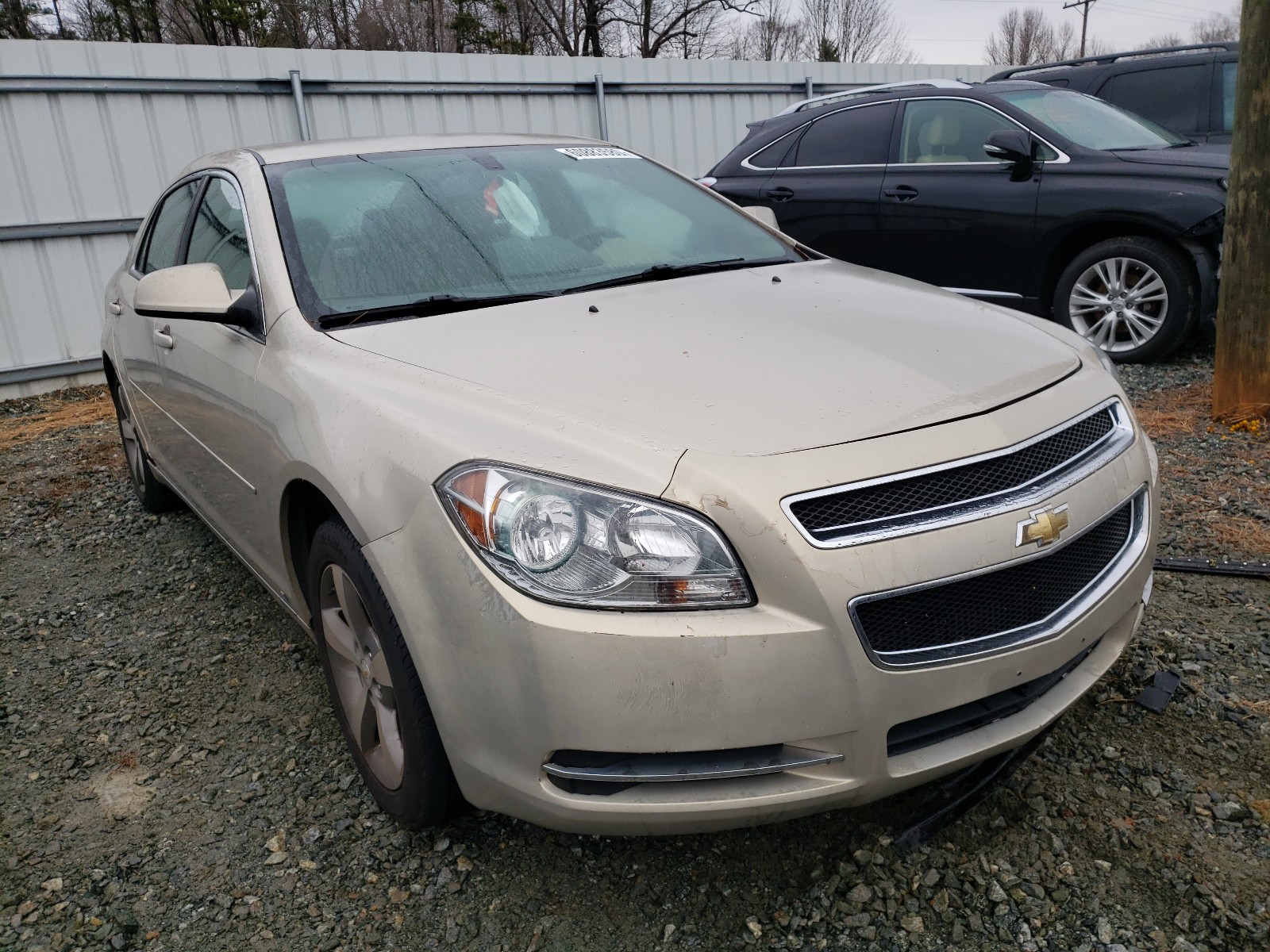 CHEVROLET MALIBU 2LT 2009 1g1zj57b294167967