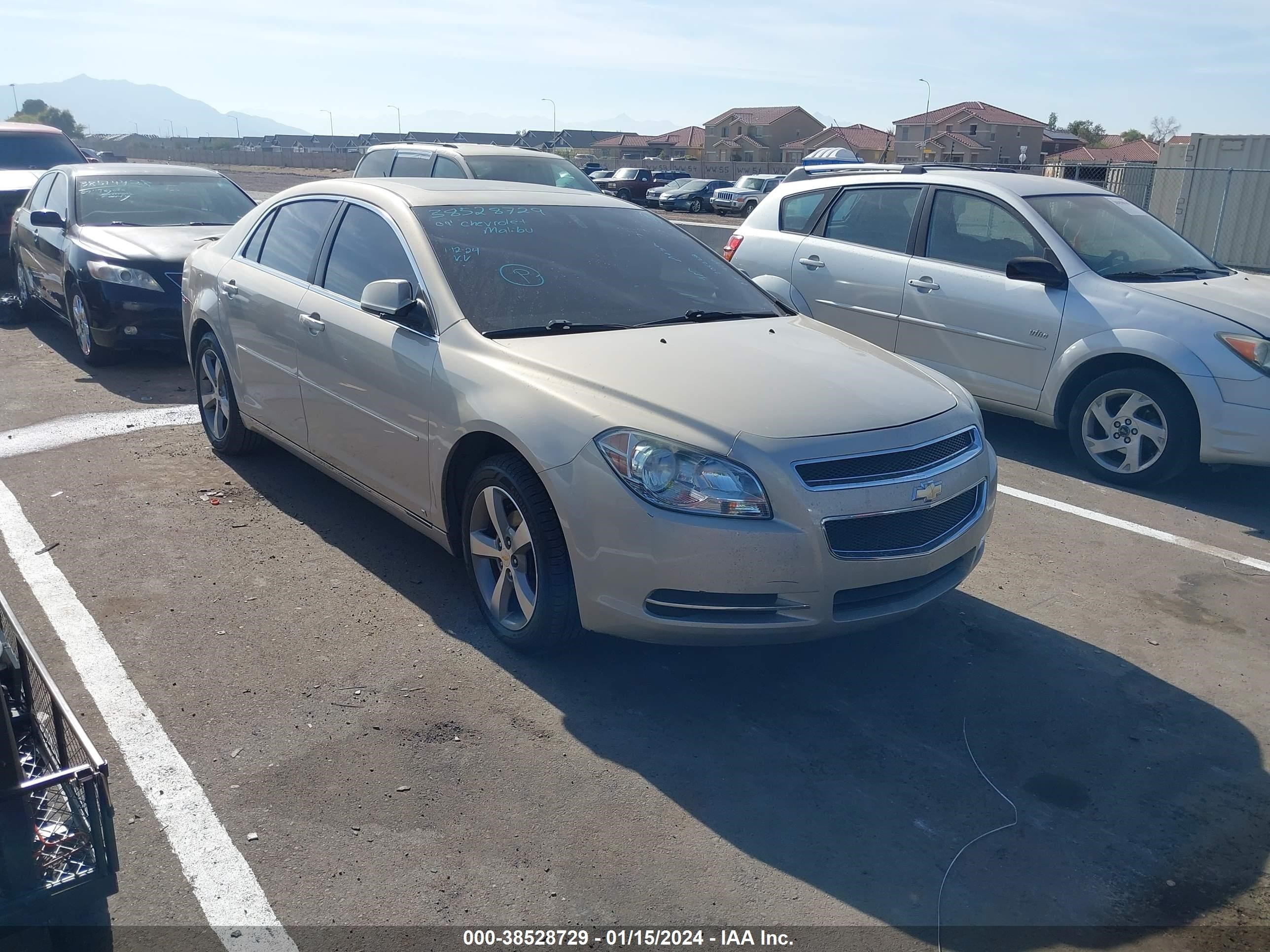 CHEVROLET MALIBU 2009 1g1zj57b294205228