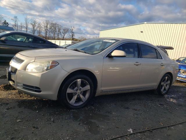 CHEVROLET MALIBU 2009 1g1zj57b29f178777