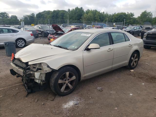 CHEVROLET MALIBU 2009 1g1zj57b29f200311